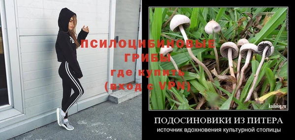 метамфетамин Богородицк