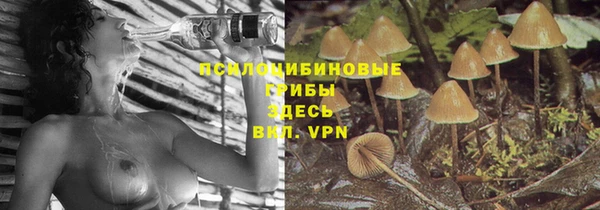 метамфетамин Богородицк