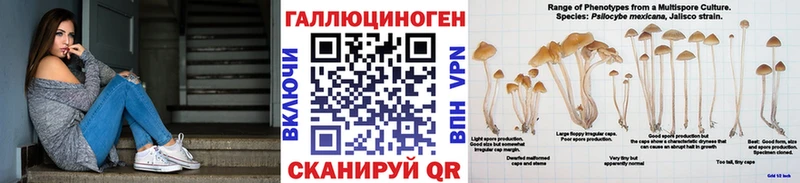 Галлюциногенные грибы MAGIC MUSHROOMS  кракен как войти  Кольчугино 